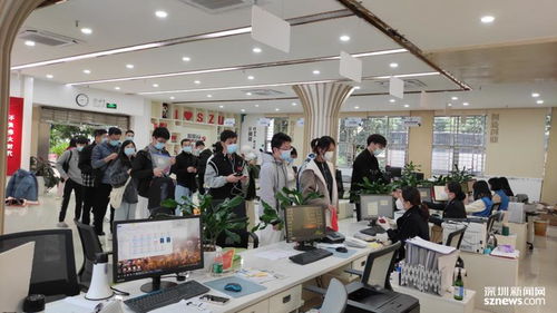 深圳要聞信息咨詢服務 洞察灣區動態，賦能決策未來